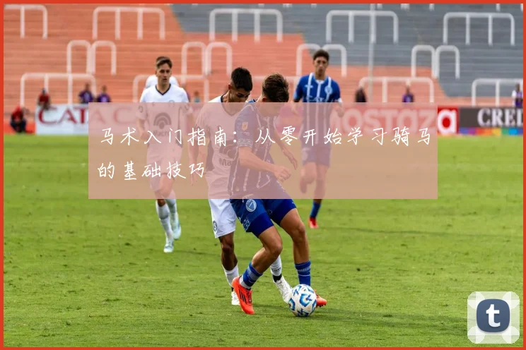 马术入门指南：从零开始学习骑马的基础技巧